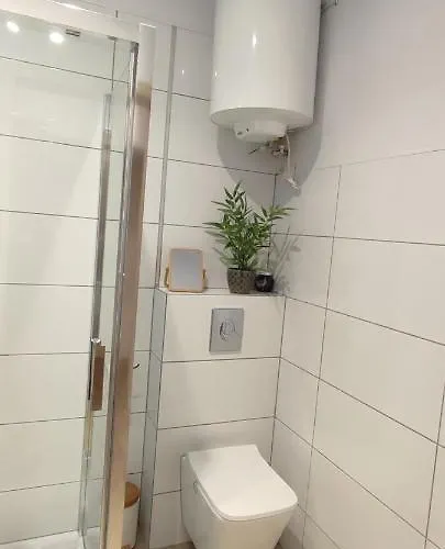 Przy Wydmie Debina *